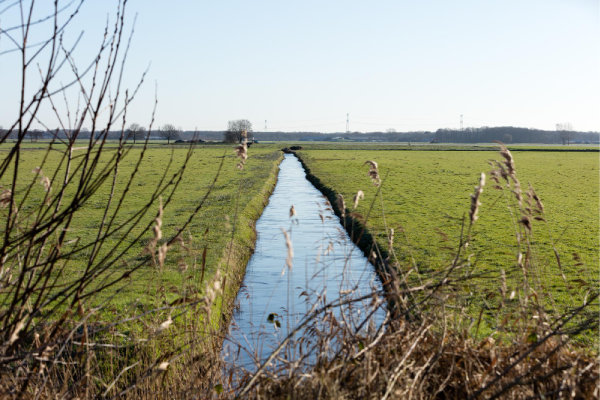 polder land in Nederland weiland met poldersloot