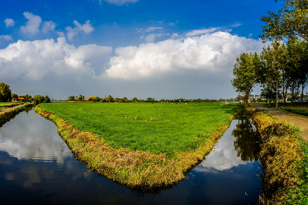 Polderlandschap in Nederland groen grasveld met sloot