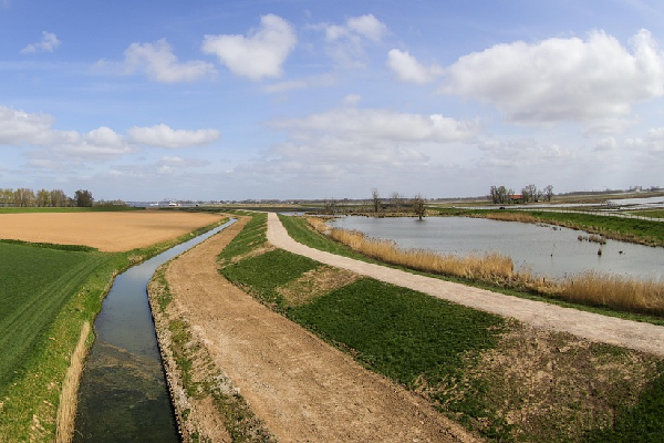 natuurgebied Biesbosch dijk na overstroming 1421 sint-elisabethsvloed
